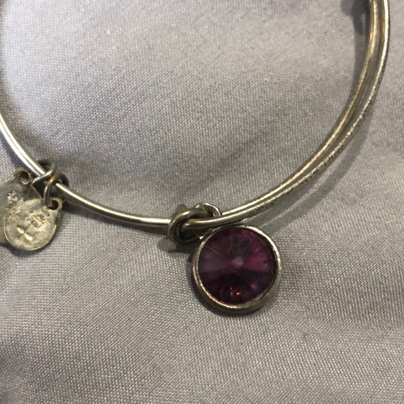 Alex and Ani amethyst birthstone(February) silver - Picture 4 of 4